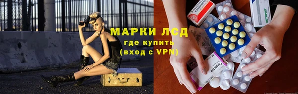стафф Абинск