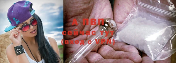 стафф Абинск