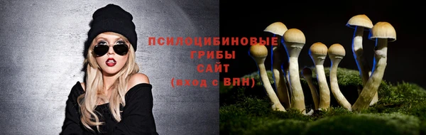 стафф Абинск