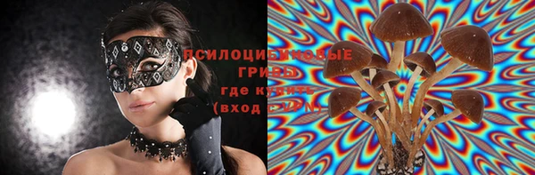 скорость Абаза